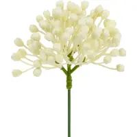 Viana Hortensia knopstoker 22cm crème 12st