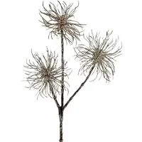 Viana Toverhazelaartak champagne 45cm 3 st