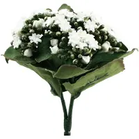 Viana Kunst Kalanchoë Flaming Käthchen Wit 24cm