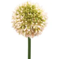 Viana Sier allium kunstroze / groen Ø8cm 58cm