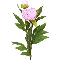 Viana Pioen kunstbloemen roze met lange steel 70cm 3st