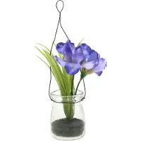 Viana Iris sering in een glas om op te hangen H21.5cm