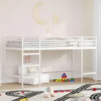 Prolenta Maison Exclusive - Kinderbed met hemelbed, effen wit, 100 x 200 cm, staal
