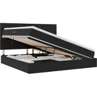 vidaXL Opslag bed met matras met hoofdeinde Zwart 200 x 200 cm Fluweel