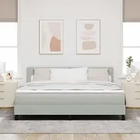 Prolenta Maison Exclusive - LED boxspringbed met hoofdeinde, lichtgrijs, 180 x 200 cm, fluweel