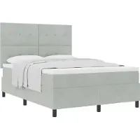 vidaXL Boxspring bed met hoofdeinde Lichtgrijs 160 x 200 cm Fluweel