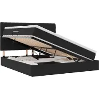 vidaXL Opslag bed met matras met hoofdeinde Zwart 160 x 200 cm Fluweel