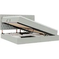 vidaXL Opslag bed met matras Lichtgrijs 200 x 200 cm Fluweel