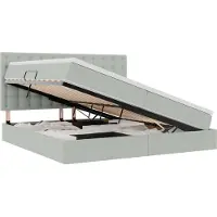 vidaXL LED opbergbed met matras Lichtgrijs 200 x 200 cm Fluweel