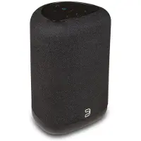 Bluesound Pulse Flex (P130) Zwart