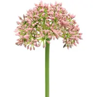 Viana Allium kunstmatig Roze 55cm