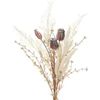 Viana Maanzaaddozen, decoratieve gedroogde bloemen, kunstmatige varen, crème