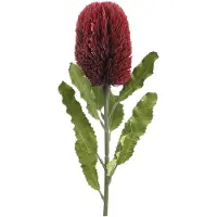 Viana Kunstbloem Banksia Rood Bordeaux Kunst Exoten 64cm