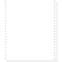Exacompta Computerpapier eindeloos, 240 mm x 11" (27,94 cm) (240 x 279,4 mm)