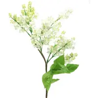 Viana Lila tak wit 84cm