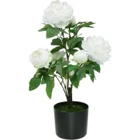 Viana Paeonia kunst, pioen in pot, decoratieve plant witte bloemen H57cm