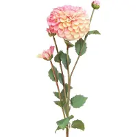 Viana Kunstdahlia's in perzikroze Ø10cm L80cm 2 stuks