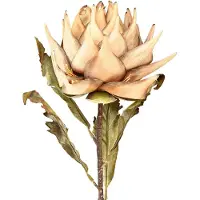 Viana Kunstplant artisjok crème droge look Ø15cm 73cm