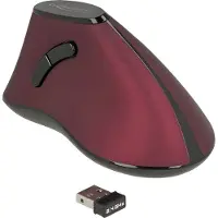 DeLOCK Ergonomische muis - Optisch - Draadloos - USB - Voor Rechtshandig