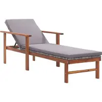 Prolenta Maison Exclusive - Ligbed met kussen, polyrotan, acacia massiefhout, grijs