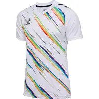Hummel Voetbalshirt Match Triumph - Wit/Multicolor