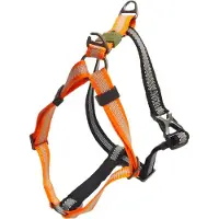 Afp Off Street Dog Non-pull Harness Tangerine XL