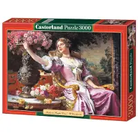 Castorland Puzzel met 3000 stukjes. Een dame in een roze jurk