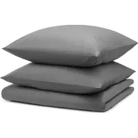 Blumtal Dekbedovertrek met Kussensloop - Anti-Allergisch - Tegen huisstofmijt - 260 x 240 cm - 2 Kussenslopen 40 x 70 cm - Grijs