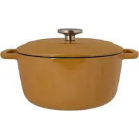 COSY&TRENDY Fontestic Kookpot Amber Gold 24x11,6 cm