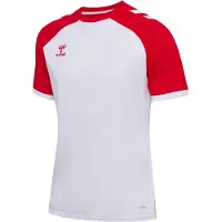 Hummel Functioneel shirt 'Match League' blauw / wit