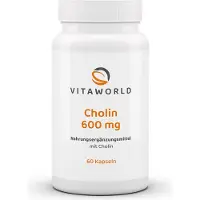 Vita-World GmbH Vitaworld Choline 600 mg | 60 capsules | Plantaardig cholinebitartraat | Ondersteunt de leverfunctie en de vetstofwisseling | Veganistisch