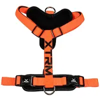 Nayeco X-trm Cronos Neon Flash Harnas 60-100x2.5 Cm One Size Orange