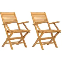 vidaXL Tuinstoelen inklapbaar 2 st 55x62x90 cm massief teakhout