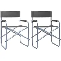 Syfax Regisseursstoelen 2 st staal grijs