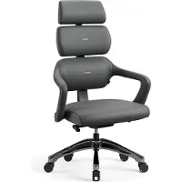 Diablo - Bureaustoel V-MODULAR - Ergonomische bureaustoel verstelbaar - Shadow Grey