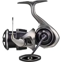 Daiwa Caldia 25 Lt Spinning Reel Zilver 5000C