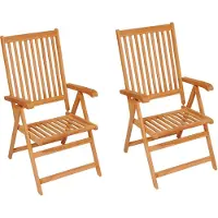 vidaXL Tuinstoelen 2 st met koningsblauwe kussens massief teakhout