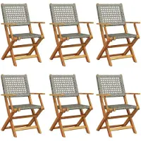 vidaXL Tuinstoelen 6 st inklapbaar poly rattan en massief hout grijs