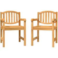 vidaXL Tuinstoelen 2 st 58x59x88 cm massief teakhout