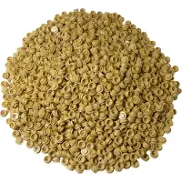 LEGO 1x1 ronde plaatjes, lichtbeige - 4073, NIEUW! Set van 50 stuks