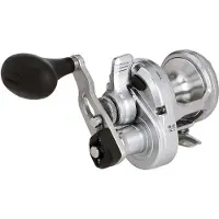 Shimano Speedmaster Ld Ii Trolling Reel Zilver 8
