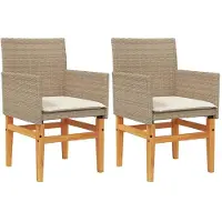 vidaXL Tuinstoelen 2 st met kussens poly rattan en massief hout beige