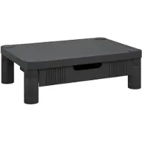 vidaXL Monitorstandaard 43x30,5x13 cm zwart