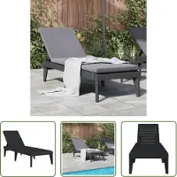 The Living Store Ligbed - Ligbedden - Tuinstoel - Tuinmeubel - Ligbed 186x60x29 cm polypropeen antracietkleurig