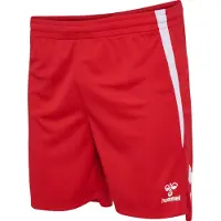 Hummel Sportbroek 'Lead 2.0' rood / wit