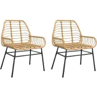 vidaXL Tuinstoel bruin poly rattan 2 st