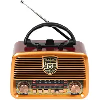 BLOW BT RA10 analoge draagbare radio op zonne-energie