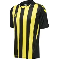 Hummel Functioneel shirt geel / zwart
