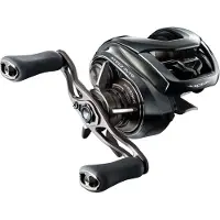 Daiwa Baitcastmolen 24 Steez SV TW 100HL