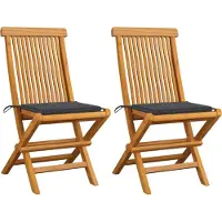 Syfax Inklapbare stoelen 2 st met antracietkleurige kussens